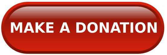 donate button