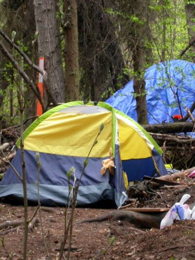 A yellow and gray camping tent set up in the woods.