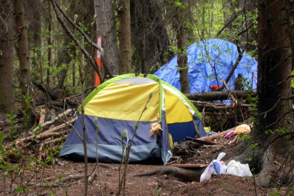 A yellow and gray camping tent set up in the woods.