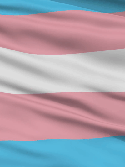 trans flag