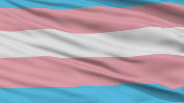 trans flag