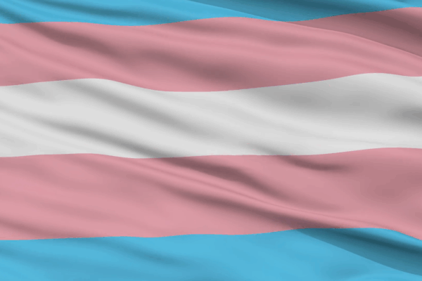 trans flag