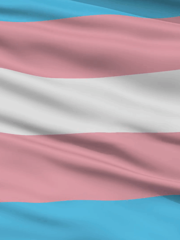 trans flag