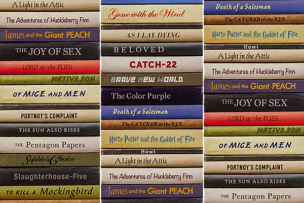 banned books, Alaska, Mat-Su