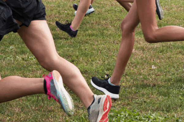 trans girls in sports explainer