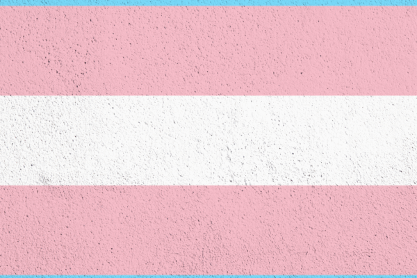 Trans flag