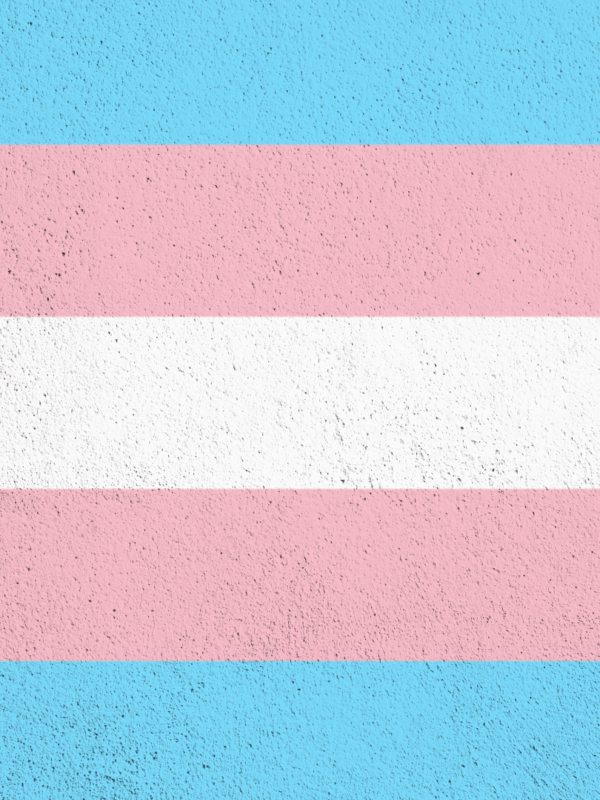Trans flag
