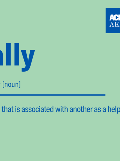 Allyship definition