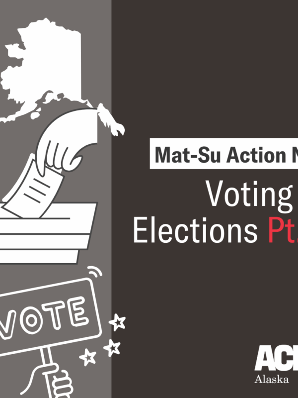 Mat Su Voting 3