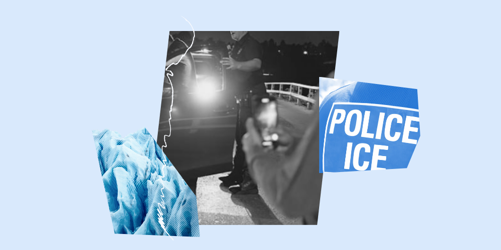 Report immigration enforcement actions