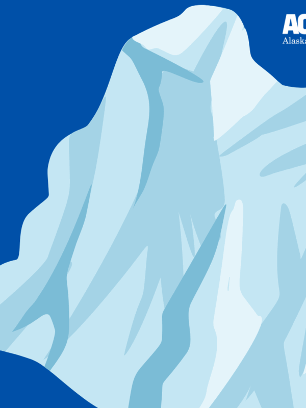 Report Immigration enforcement