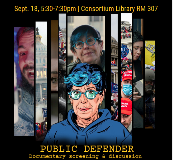 Public defender film