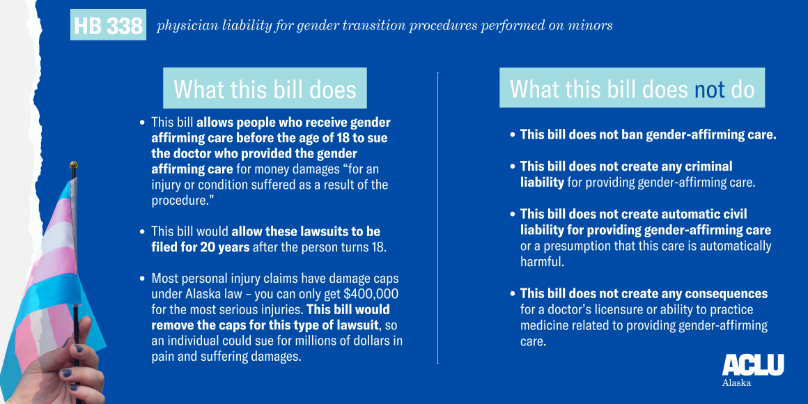 Explainer Hb 338