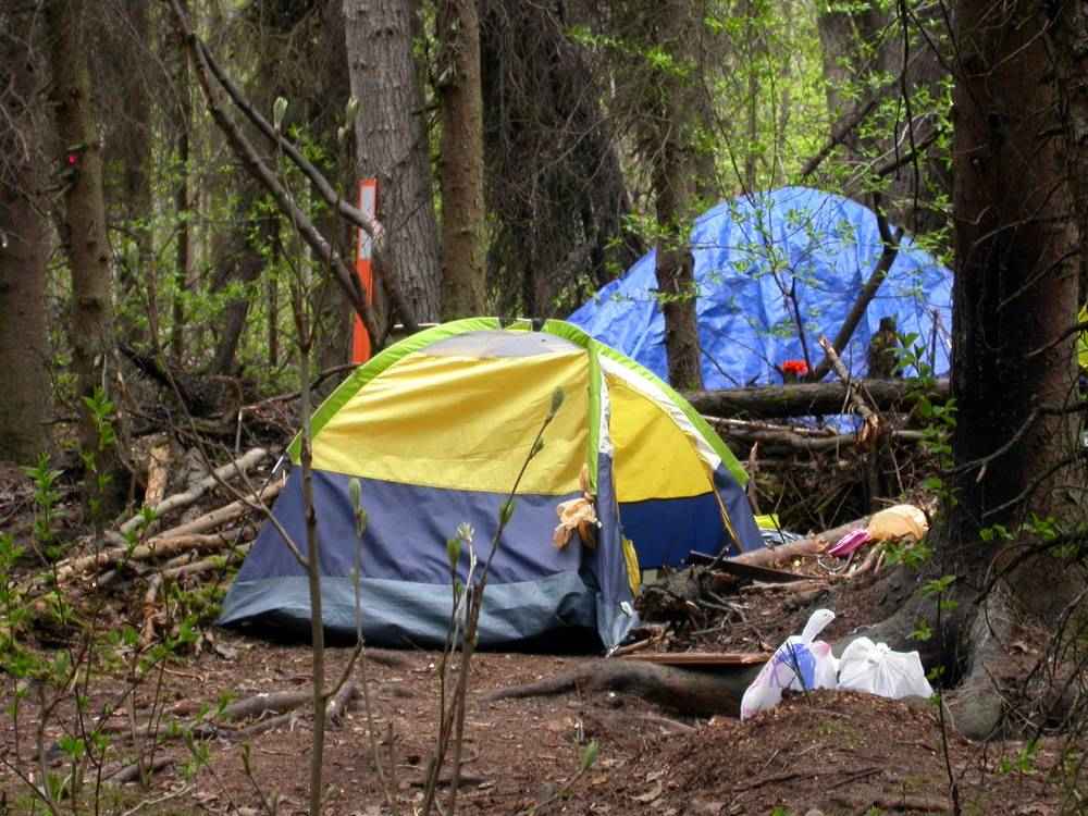 A yellow and gray camping tent set up in the woods.