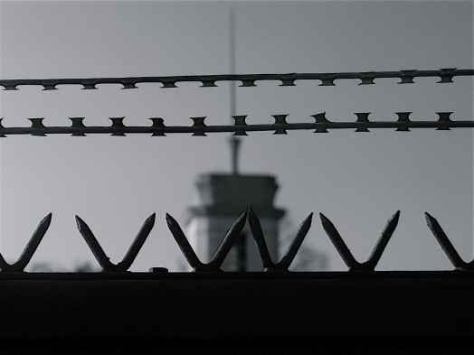 A black and white image of a prison fence. 