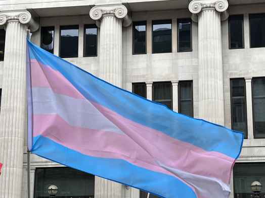 Trans flag