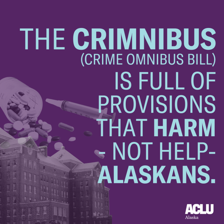 Criminal omnibus