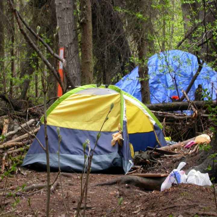 A yellow and gray camping tent set up in the woods.