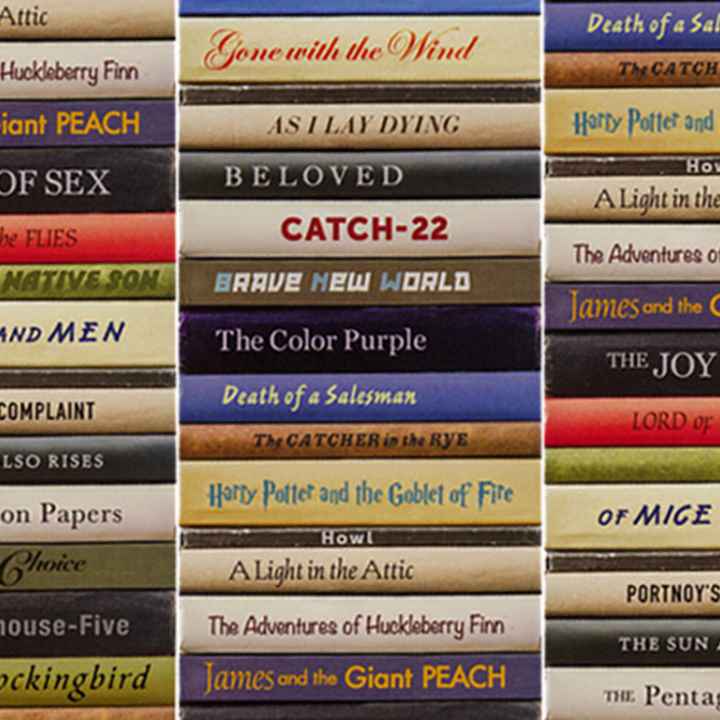 banned books, Alaska, Mat-Su