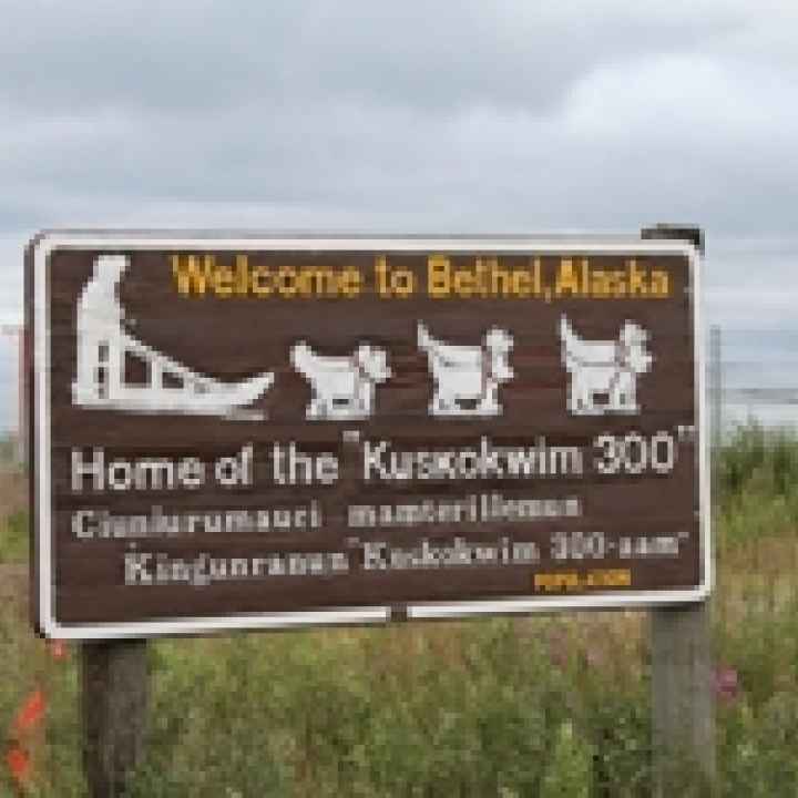 A brown sign standing in a field says &quot;Welcome to Bethel, Alaska&quot; above white pictures of Iditarod sled-dogs.