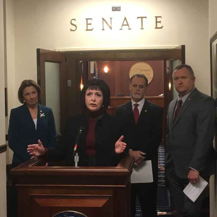 senate judiciary