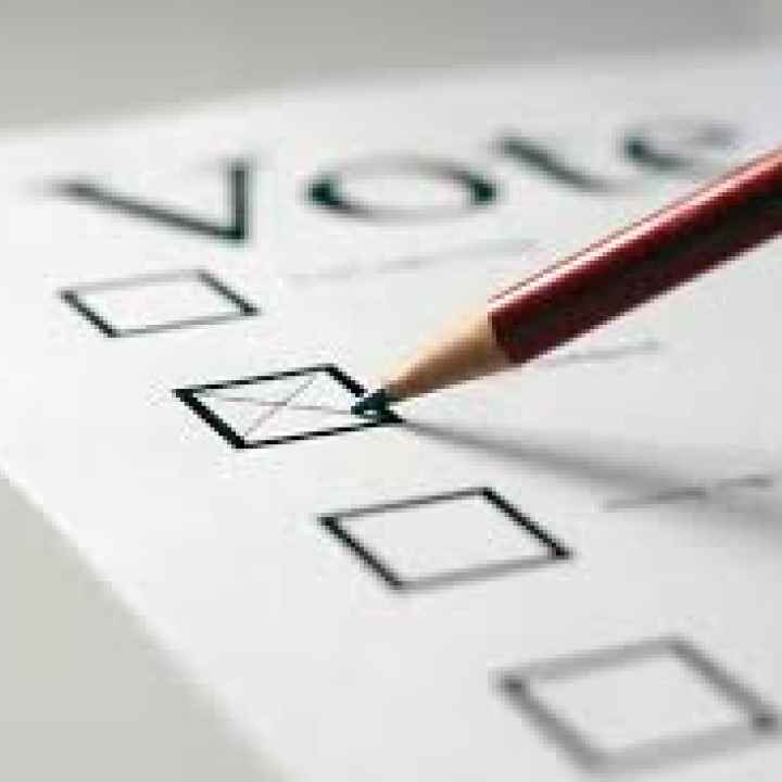 White background and black text saying "vote" with checkboxes