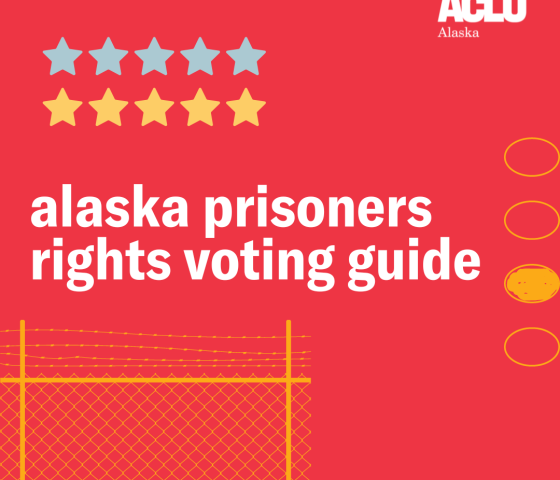 Voting Prison Project