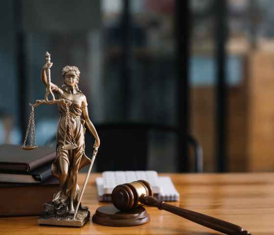 Stock law