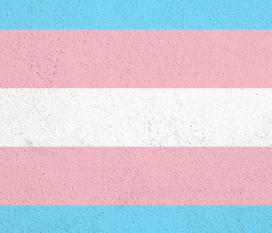 Trans flag